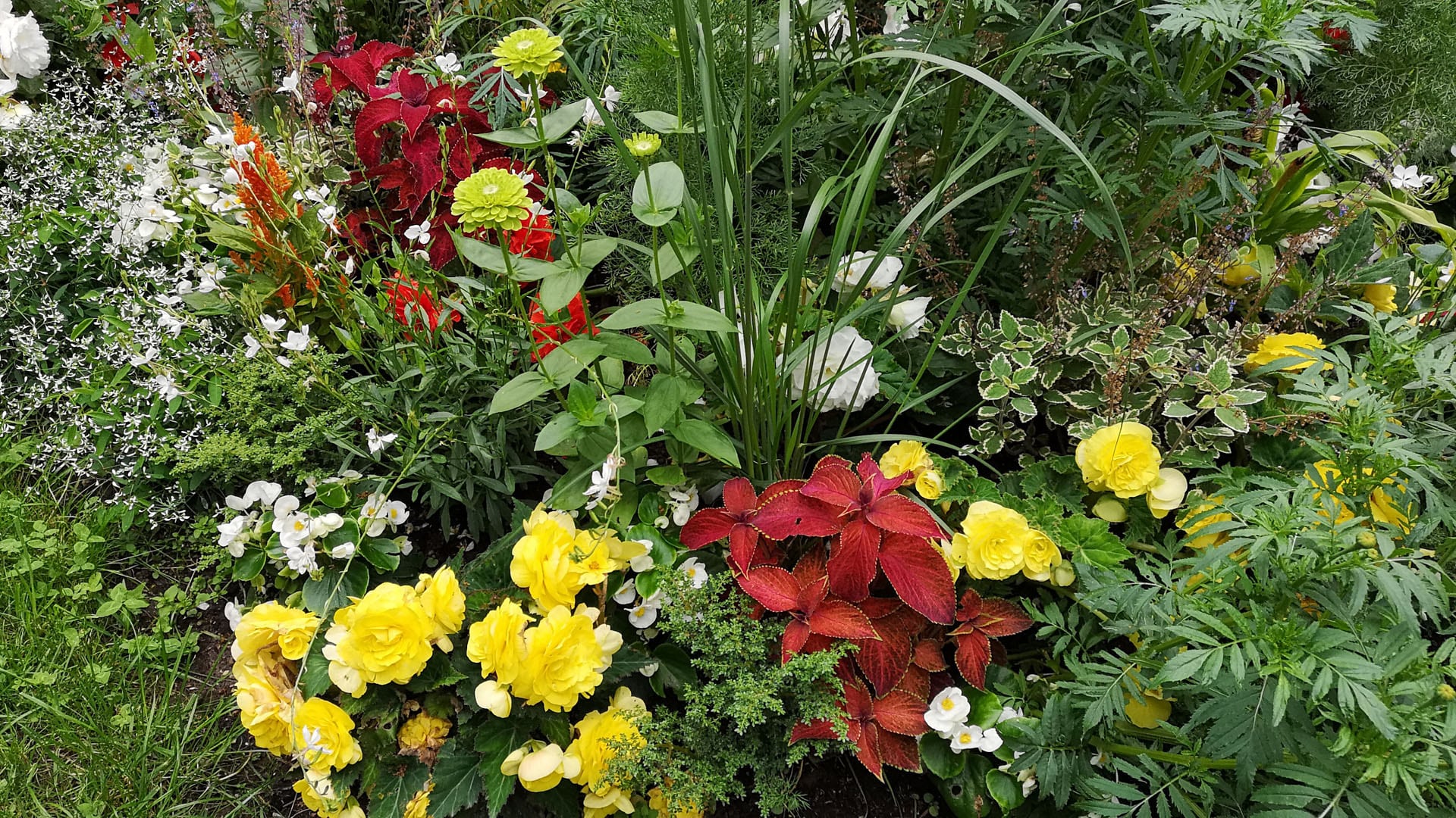 Bad Ischl 20180623 15